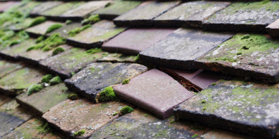 Riseley roof repair costs